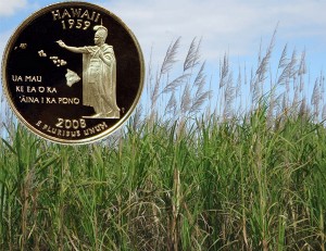 Hawaii State Quarter Coin